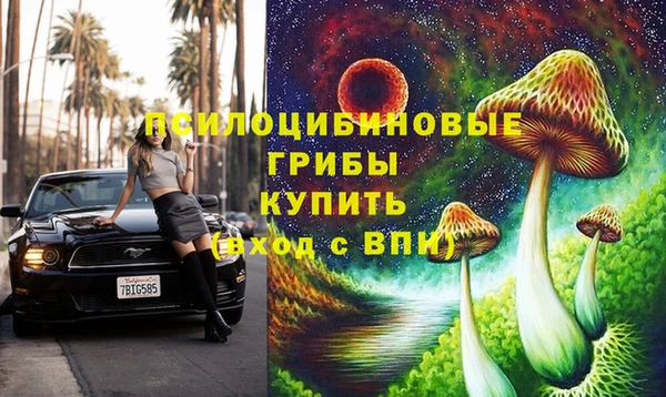 шишки Волоколамск