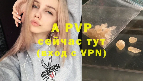 амф Верея